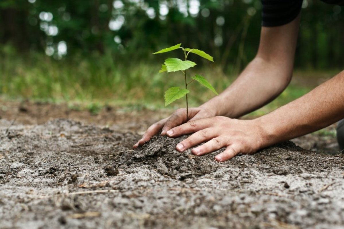 Protect Mother Earth